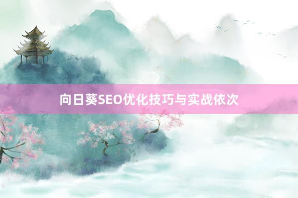 向日葵SEO优化技巧与实战依次