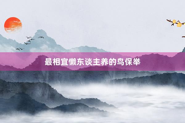 最相宜懒东谈主养的鸟保举